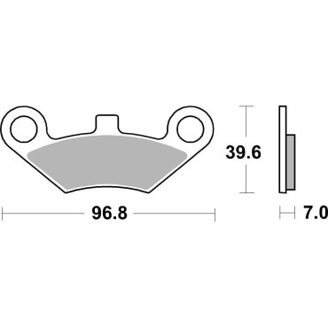 Гальмівні колодки SBS Racing Brake Pads
